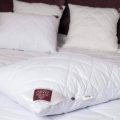 Выбор лучшей подушки для сна и отдыха