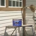 Этапы покраски деревянного дома