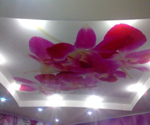 Натяжные потолки с цветами