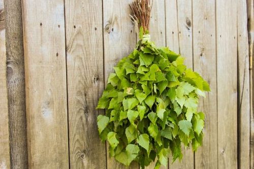 Как правильно сушить березовые веники для бани