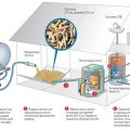 Детально о пеллетных котлах отопления